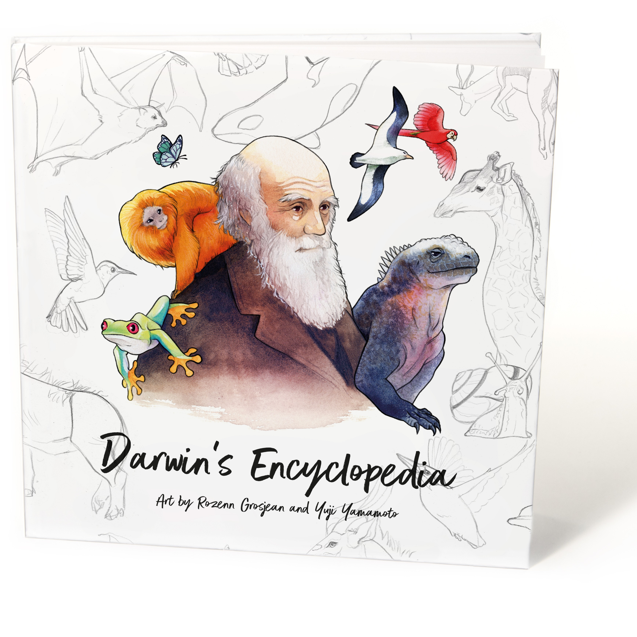 The Wildlife Collection - 4 Puzzles form 1 Artwork by Treeceratops