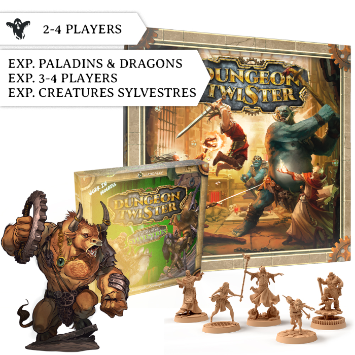 Dungeon Twister 20th Anniversary Edition by ludically