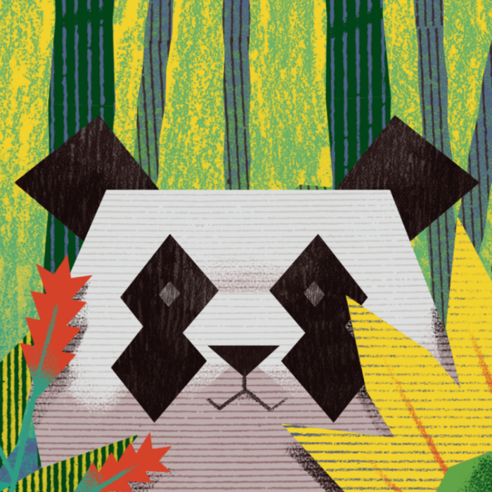 Couverture de Pilfering Pandas: A weirdly addictive reinvention of Rummy