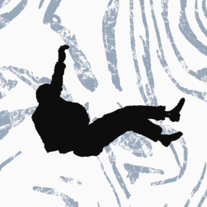 Couverture de The Fool