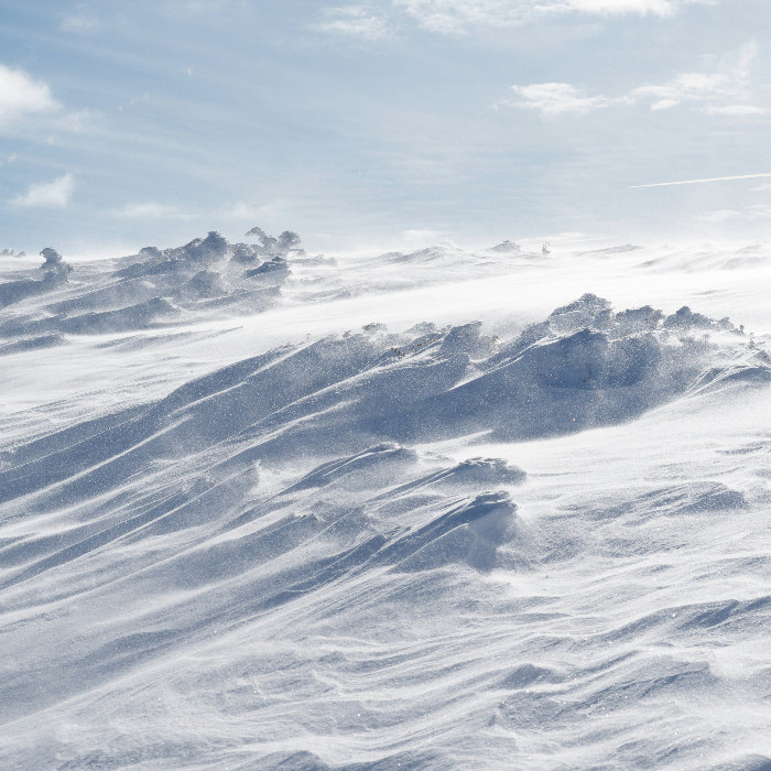 Couverture de Embers of the Long Dark