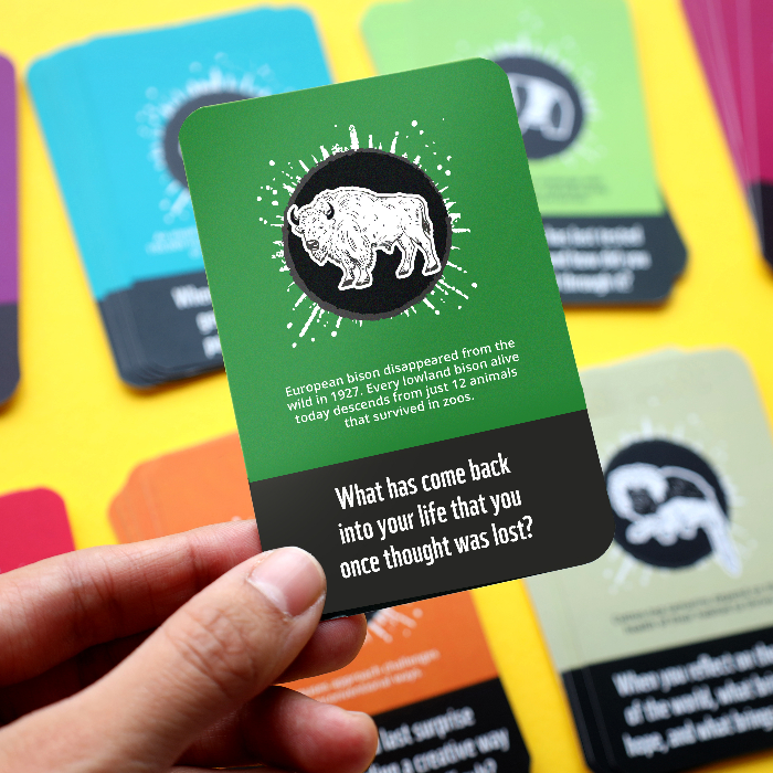 Couverture de Wild Conversations: Conversation Cards to spark meaningful connections