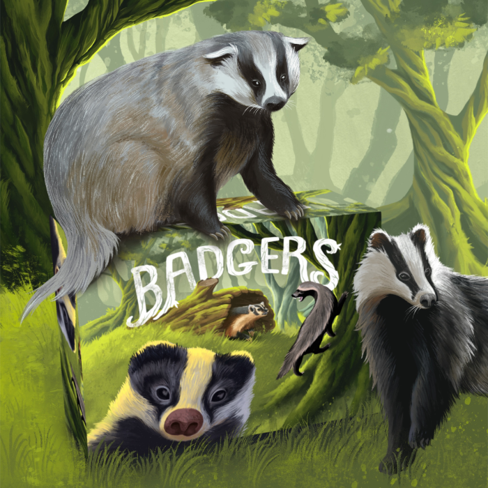 Couverture de Badgers
