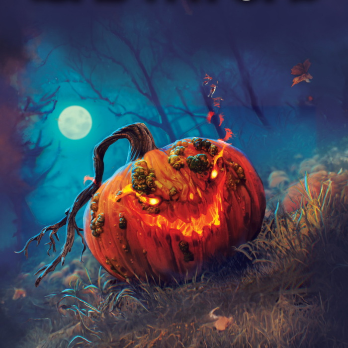 Couverture de The Bad Patch