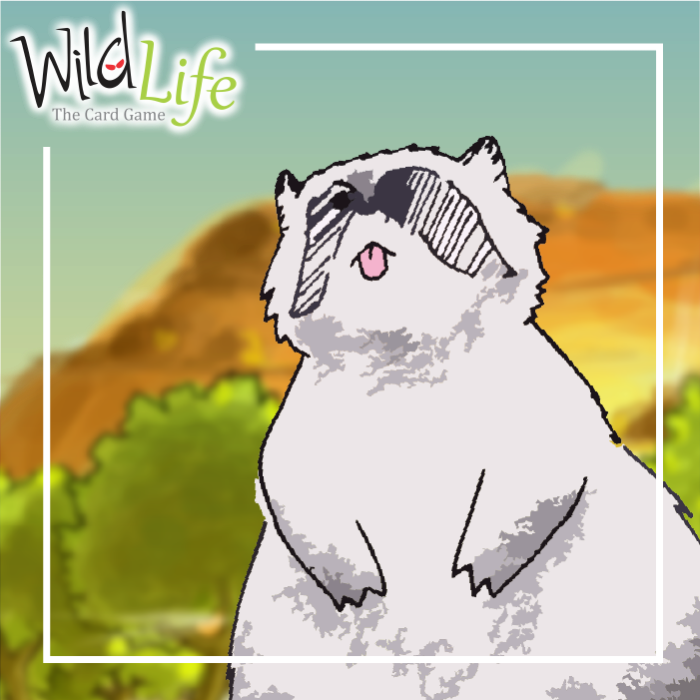 Couverture de Wild Life the Card Game - New Cycle