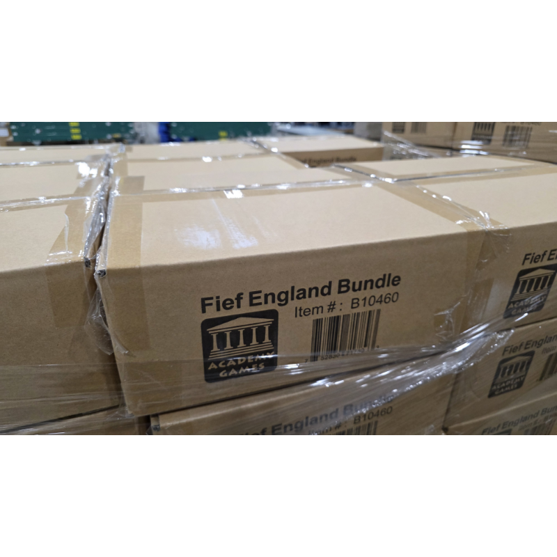 Fief England - Alliances, Treachery, and Power by Academy Games ...