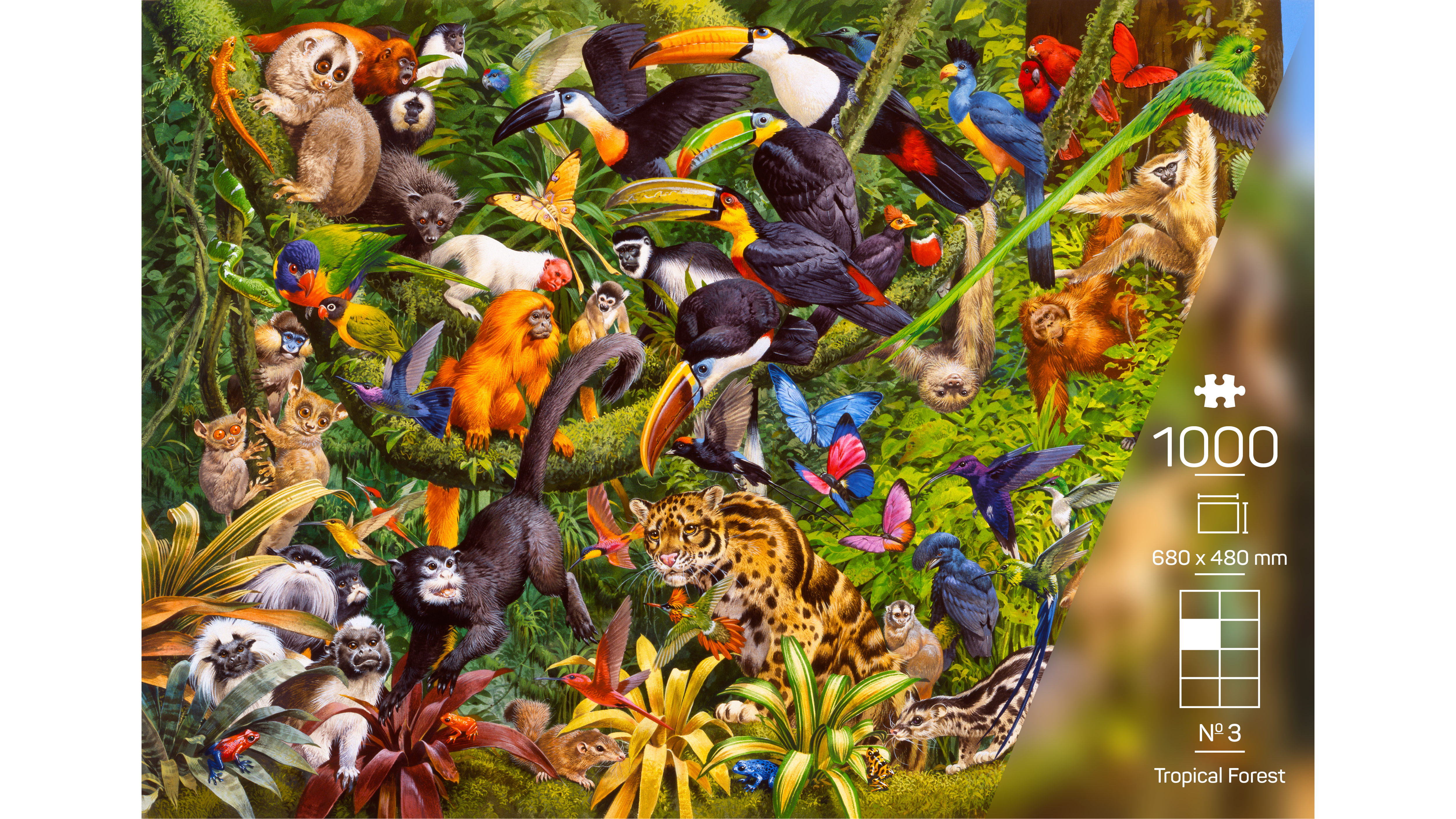 Zoo Tycoon: The Board Game by Treeceratops